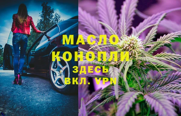 мдпв Ветлуга
